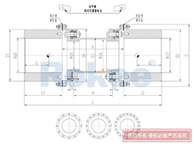 RLQF Diaphragm Coupling