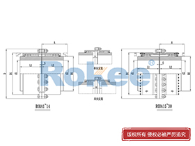 RODA Drum Gear Coupling