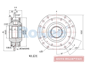 DQ/WZL Drum Coupling