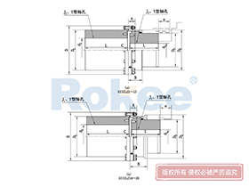 GIICLZ Drum Gear Coupling