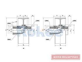 NGCL Drum Gear Coupling