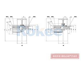 NGCLZ Drum Gear Coupling