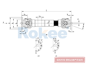 SWC-DH Universal Coupling