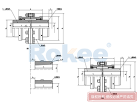 WG Drum Gear Coupling