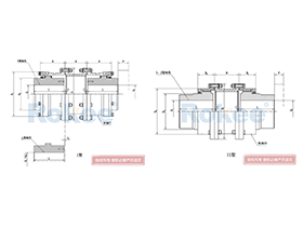 WGT Drum Gear Coupling