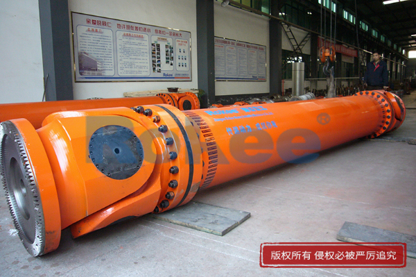 Rokee 标准大型万向轴.JPG Rokee 标准大型万向轴.JPG