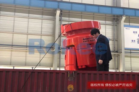 SWZ Large Universal Shaft